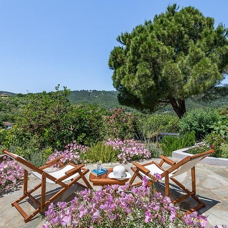 Villa Ambeli สโกเปลอสทาวน์ ภายนอก รูปภาพ