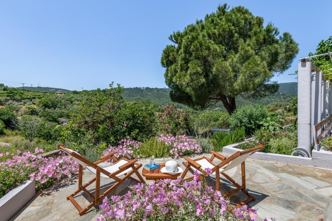 Villa Ambeli สโกเปลอสทาวน์ ภายนอก รูปภาพ