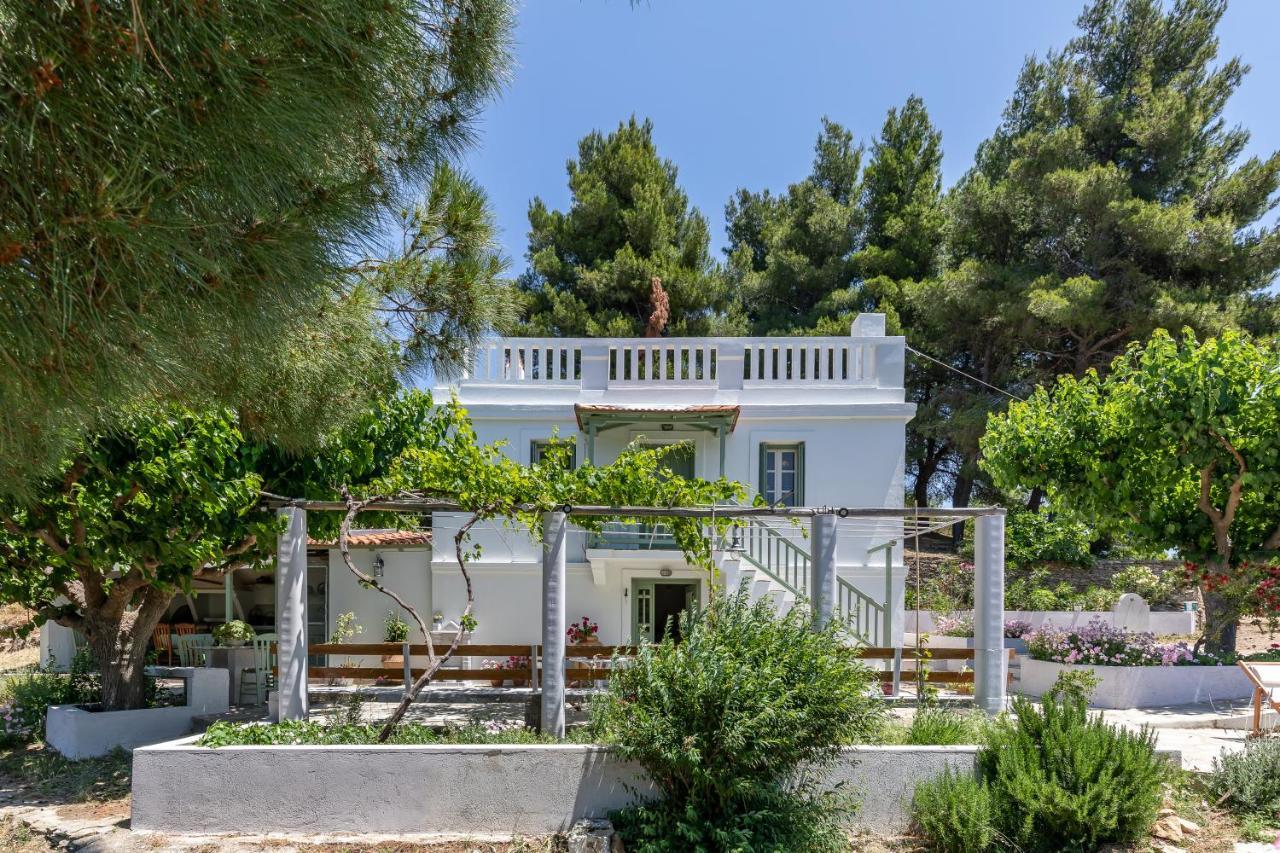 Villa Ambeli สโกเปลอสทาวน์ ภายนอก รูปภาพ